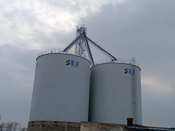 山西大同匯豐農業(yè)進口烘干塔搭配雪萊3臺2000T水泥錐底保溫鋼板倉+1-500T全鋼錐底暫存?zhèn)}投產運行中